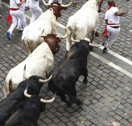 Imágenes del cuarto encierro de San Fermín de Pamplona