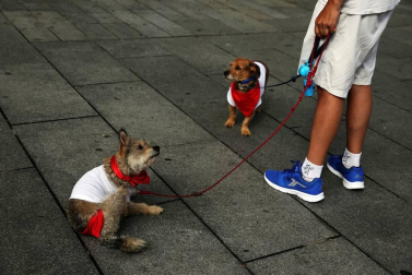 Los Sanfermines son alegría, diversión, camaradería y hospitalidad: comparte con nosotros tus mejores momentos de las fiestas.