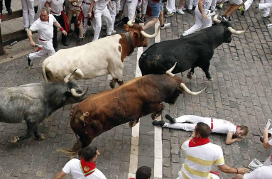 Imágenes del octavo encierro, protagonizado por los Miura