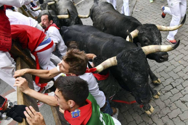 Imágenes del octavo encierro, protagonizado por los Miura