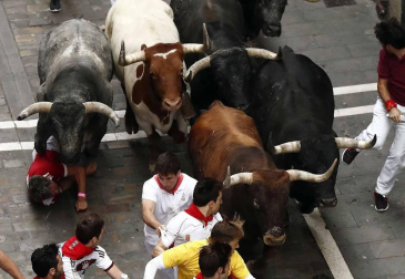 Imágenes del octavo encierro, protagonizado por los Miura