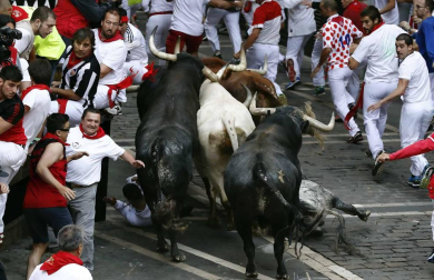 Imágenes del octavo encierro, protagonizado por los Miura