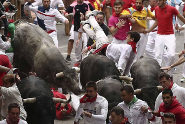 Imágenes del octavo encierro, protagonizado por los Miura