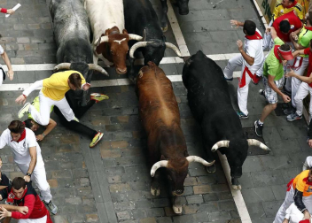 Imágenes del octavo encierro, protagonizado por los Miura
