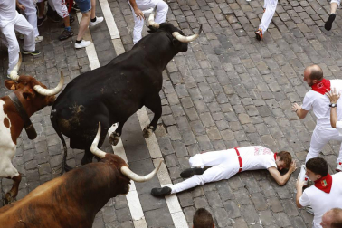 Un mozo resultó pisoteado en el octavo encierro de los Sanfermines tras ser pisoteado por uno de los Miura en la entrada a la plaza del Ayuntamiento.