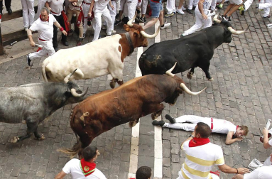 Un mozo resultó pisoteado en el octavo encierro de los Sanfermines tras ser pisoteado por uno de los Miura en la entrada a la plaza del Ayuntamiento.