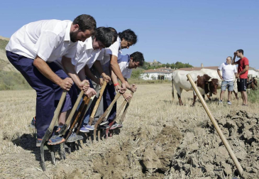 Miranda de Arga es un pueblo de tradición agrícola, pero hoy sólo seis vecinos se dedican en exclusiva a esta actividad. La localidad celebró ayer la XVIII edición de su Día del Mundo Rural para preservar una forma de trabajar de siglos.