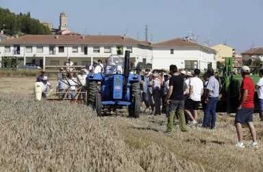 Miranda de Arga es un pueblo de tradición agrícola, pero hoy sólo seis vecinos se dedican en exclusiva a esta actividad. La localidad celebró ayer la XVIII edición de su Día del Mundo Rural para preservar una forma de trabajar de siglos.