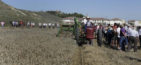 Miranda de Arga es un pueblo de tradición agrícola, pero hoy sólo seis vecinos se dedican en exclusiva a esta actividad. La localidad celebró ayer la XVIII edición de su Día del Mundo Rural para preservar una forma de trabajar de siglos.