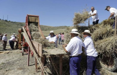 Miranda de Arga es un pueblo de tradición agrícola, pero hoy sólo seis vecinos se dedican en exclusiva a esta actividad. La localidad celebró ayer la XVIII edición de su Día del Mundo Rural para preservar una forma de trabajar de siglos.