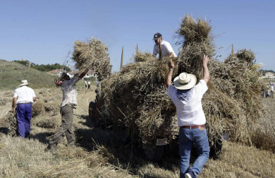 Miranda de Arga es un pueblo de tradición agrícola, pero hoy sólo seis vecinos se dedican en exclusiva a esta actividad. La localidad celebró ayer la XVIII edición de su Día del Mundo Rural para preservar una forma de trabajar de siglos.