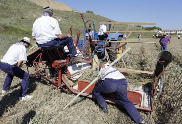 Miranda de Arga es un pueblo de tradición agrícola, pero hoy sólo seis vecinos se dedican en exclusiva a esta actividad. La localidad celebró ayer la XVIII edición de su Día del Mundo Rural para preservar una forma de trabajar de siglos.