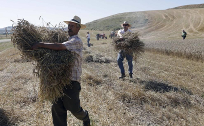Miranda de Arga es un pueblo de tradición agrícola, pero hoy sólo seis vecinos se dedican en exclusiva a esta actividad. La localidad celebró ayer la XVIII edición de su Día del Mundo Rural para preservar una forma de trabajar de siglos.