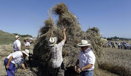 Miranda de Arga es un pueblo de tradición agrícola, pero hoy sólo seis vecinos se dedican en exclusiva a esta actividad. La localidad celebró ayer la XVIII edición de su Día del Mundo Rural para preservar una forma de trabajar de siglos.