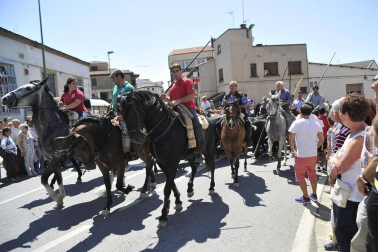 Fiesta de la trashumancia en el Día de la Vaca Brava en Larraga