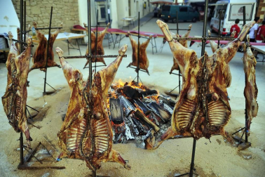 Fiesta de la trashumancia en el Día de la Vaca Brava en Larraga