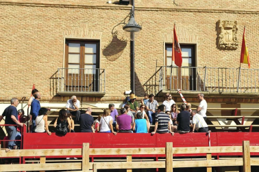 Fiesta de la trashumancia en el Día de la Vaca Brava en Larraga