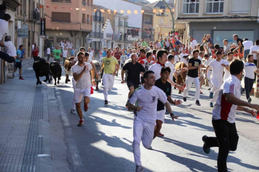 Imágenes de los bailes de los gigantes.