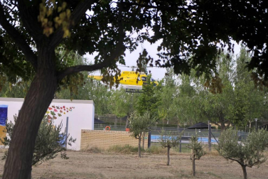 Las llamas afectaron al paraje de 'El Chorrón' y los Bomberos las controlaron antes de que llegaran a las viviendas.
