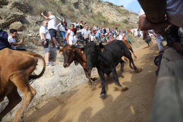 El cuarto encierro del Pilón de Falces