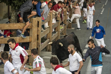 Segundo encierro de fiestas de Tafalla con la ganadería Macua 2017