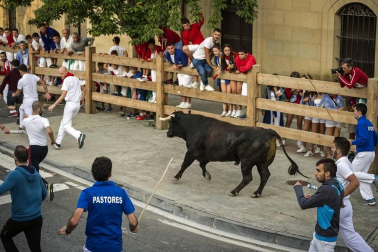 Segundo encierro de fiestas de Tafalla con la ganadería Macua 2017