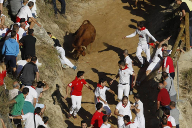 Galería del quinto encierro de fiestas de Falces