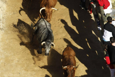 Galería del quinto encierro de fiestas de Falces