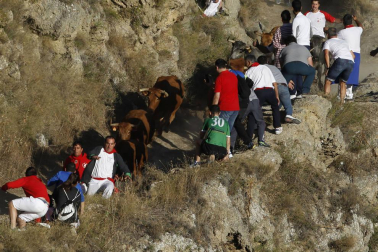 Galería del quinto encierro de fiestas de Falces