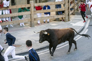 Galería de fotos del tercer encierro de fiestas de Tafalla