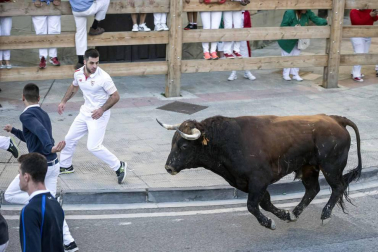 Galería de fotos del tercer encierro de fiestas de Tafalla
