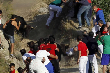 Imágenes del último encierro del Pilón de Falces, en el que un joven ha resultado herido grave.