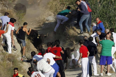 Imágenes del último encierro del Pilón de Falces, en el que un joven ha resultado herido grave.