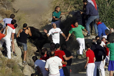 Imágenes del último encierro del Pilón de Falces, en el que un joven ha resultado herido grave.