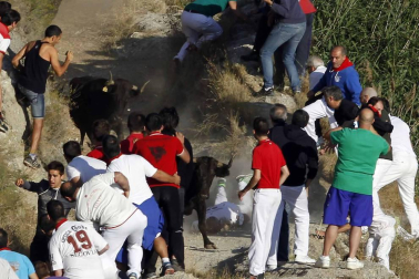 Imágenes del último encierro del Pilón de Falces, en el que un joven ha resultado herido grave.
