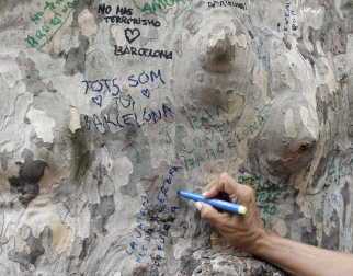 Imágenes de las dos ciudades, que tratan de recuperar la normalidad tras los ataques.