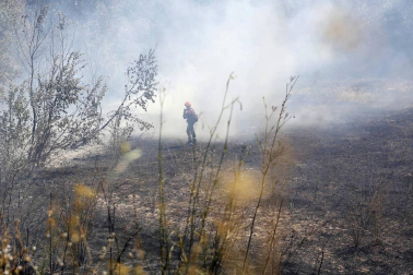 Imágenes del fuego.