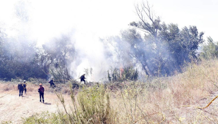 Imágenes del fuego.