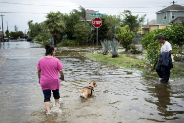 Se han realizado más de mil operaciones de rescate