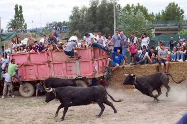 Imágenes del tradicional festejo taurino en la edición de 2017.