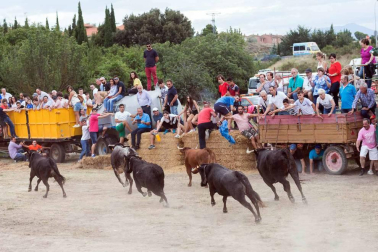 Imágenes del tradicional festejo taurino en la edición de 2017.