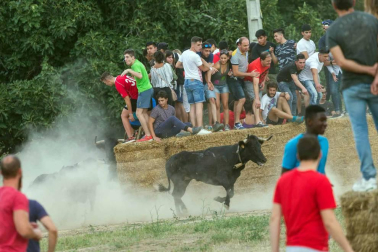 Imágenes del tradicional festejo taurino en la edición de 2017.
