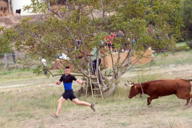 Imágenes del tradicional festejo taurino en la edición de 2017.