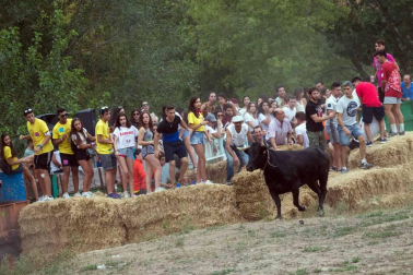 Imágenes del tradicional festejo taurino en la edición de 2017.