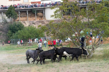 Imágenes del tradicional festejo taurino en la edición de 2017.