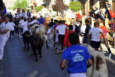 Imágenes del encierro del día 5 de Peralta