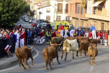 Imágenes del día dedicado a las peñas en fiestas de Peralta.