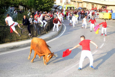 Imágenes del día dedicado a las peñas en fiestas de Peralta.
