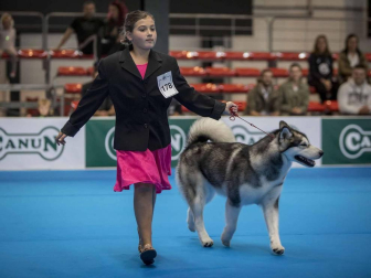 Más de 400 perros compitieron ayer en la XXXI Exposición Nacional Canina de Navarra y en la XXV Internacional que tuvo lugar en recinto ferial Refena