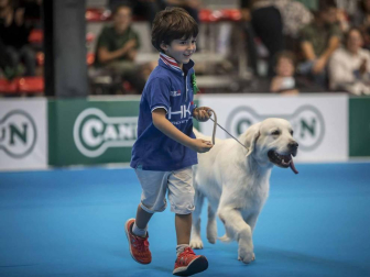 Más de 400 perros compitieron ayer en la XXXI Exposición Nacional Canina de Navarra y en la XXV Internacional que tuvo lugar en recinto ferial Refena